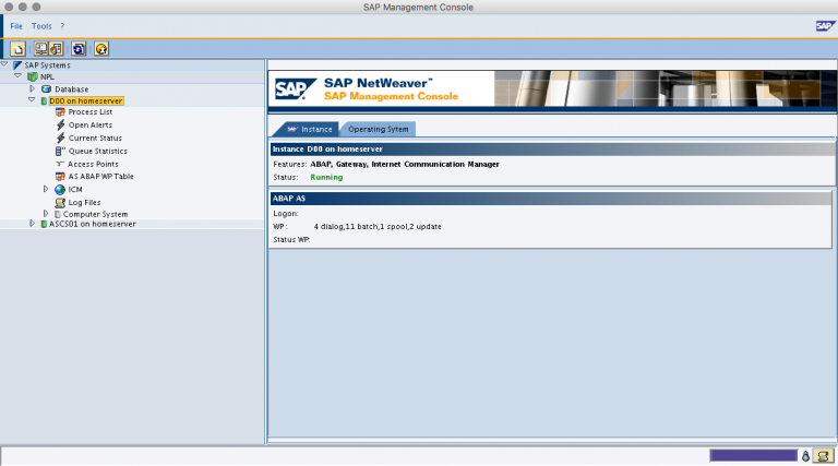 SAP Management Console